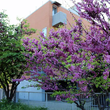 Apartamento Levante