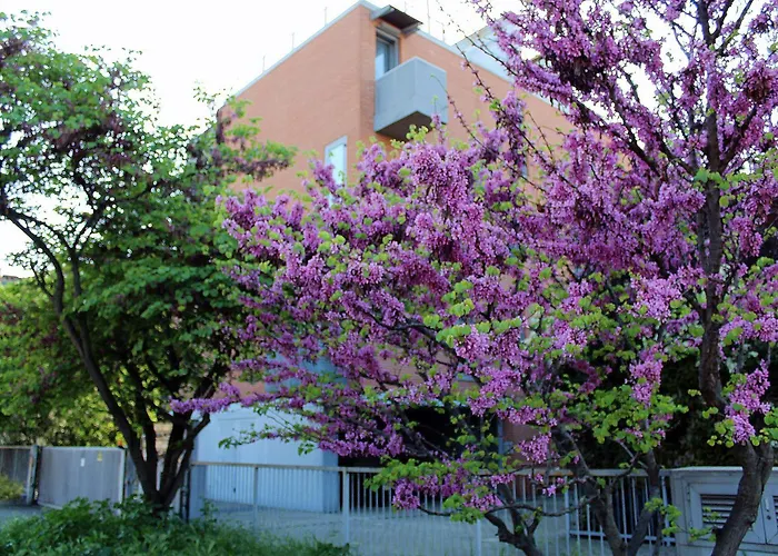 Apartamento Levante